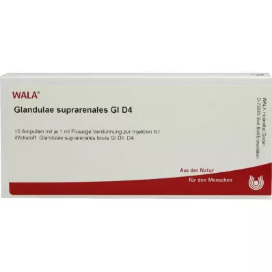GLANDULAE SUPRARENALES GL D 4 fiale, 10X1 ml GLANDULAE SUPRARENALES GL D 4 fiale, 10X1 ml