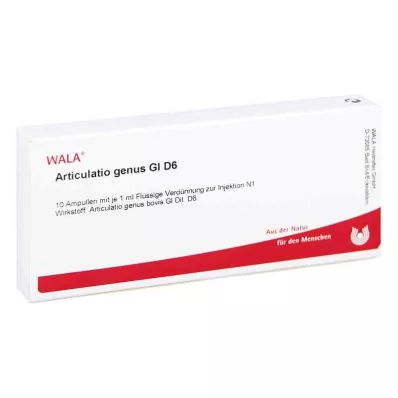 ARTICULATIO genere GL D 6 fiale, 10X1 ml