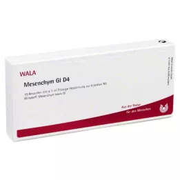 MESENCHYM GL D 4 fiale, 10X1 ml