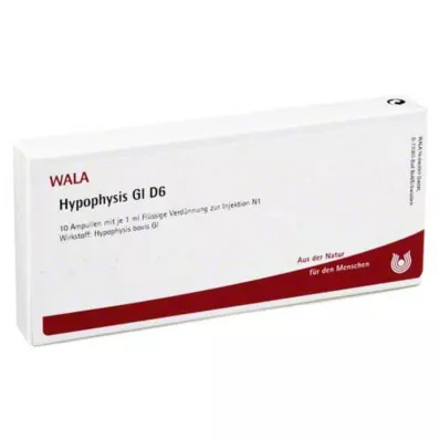 HYPOPHYSIS GL D 6 Fiale, 10X1 ml HYPOPHYSIS GL D 6 Fiale, 10X1 ml