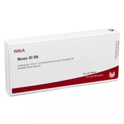 RENES GL D 6 Fiale, 10X1 ml