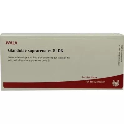 GLANDULAE SUPRARENALES GL D 6 Fiale, 10X1 ml