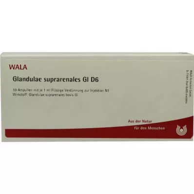 GLANDULAE SUPRARENALES GL D 6 Fiale, 10X1 ml GLANDULAE SUPRARENALES GL D 6 Fiale, 10X1 ml