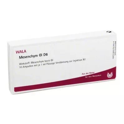 MESENCHYM GL D 6 fiale, 10X1 ml