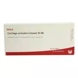 CARTILAGO articularis coxae GL D 6 fiale, 10X1 ml