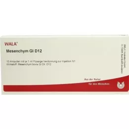 MESENCHYM GL D 12 fiale, 10X1 ml