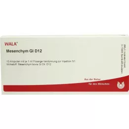 MESENCHYM GL D 12 fiale, 10X1 ml