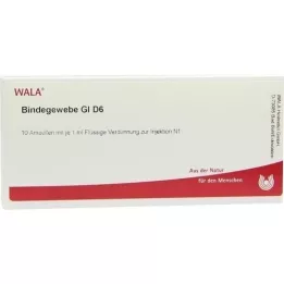 BINDEGEWEBE GL D 6 Fiale, 10X1 ml