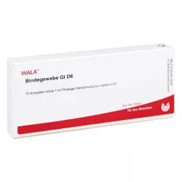BINDEGEWEBE GL D 6 Fiale, 10X1 ml