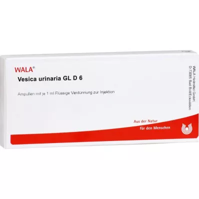 VESICA URINARIA GL D 6 Fiale, 10X1 ml