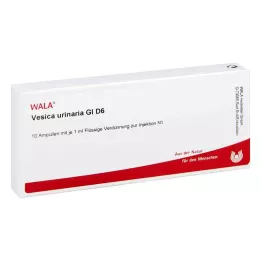 VESICA URINARIA GL D 6 Fiale, 10X1 ml