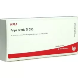 PULPA DENTIS GL D 30 fiale, 10X1 ml