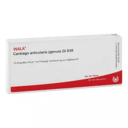 CARTILAGO genere articularis GL D 30 fiale, 10X1 ml