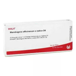 MANDRAGORA OFFICINARIUM e radice D 6 Fiale, 10X1 ml
