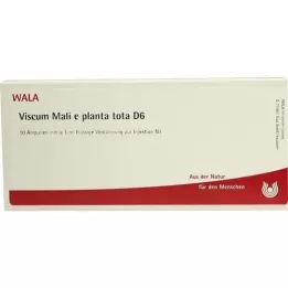 VISCUM MALI e pianta tota D 6 fiale, 10X1 ml