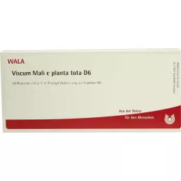 VISCUM MALI e pianta tota D 6 fiale, 10X1 ml