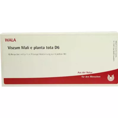 VISCUM MALI e pianta tota D 6 fiale, 10X1 ml VISCUM MALI e pianta tota D 6 fiale, 10X1 ml
