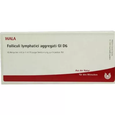 FOLLICULI LYMPHATICI aggregati GL D 6 fiale, 10X1 ml FOLLICULI LYMPHATICI aggregati GL D 6 fiale, 10X1 ml