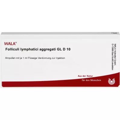 FOLLICULI LYMPHATICI aggregati GL D 10 fiale, 10X1 ml