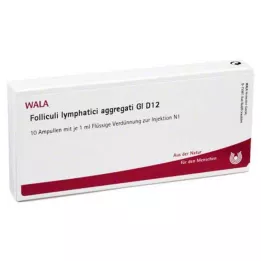 FOLLICULI LYMPHATICI aggregati GL D 12 fiale, 10X1 ml