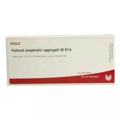 FOLLICULI LYMPHATICI aggregati GL D 15 fiale, 10X1 ml FOLLICULI LYMPHATICI aggregati GL D 15 fiale, 10X1 ml
