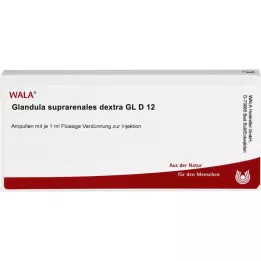 GLANDULA SUPRARENALES dextra GL D 12 fiale, 10X1 ml