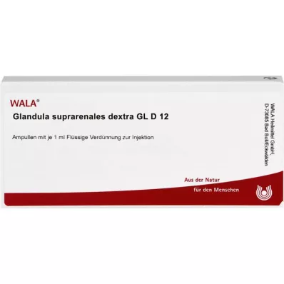 GLANDULA SUPRARENALES dextra GL D 12 fiale, 10X1 ml