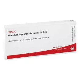 GLANDULA SUPRARENALES dextra GL D 12 fiale, 10X1 ml