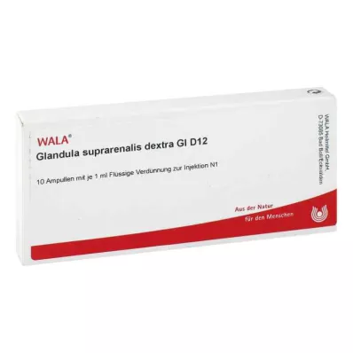 GLANDULA SUPRARENALES dextra GL D 12 fiale, 10X1 ml