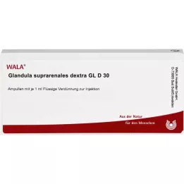 GLANDULA SUPRARENALES dextra GL D 30 fiale, 10X1 ml