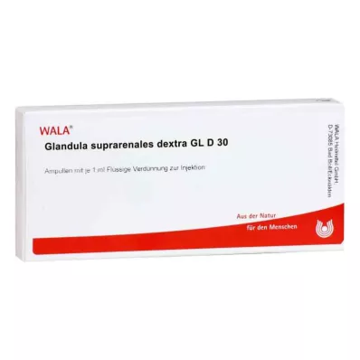 GLANDULA SUPRARENALES dextra GL D 30 fiale, 10X1 ml