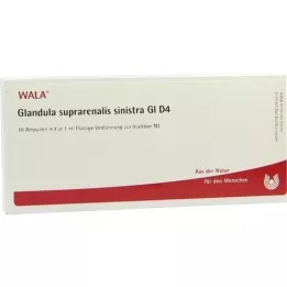 GLANDULA SUPRARENALIS sinistra GL D 4 fiale, 10X1 ml