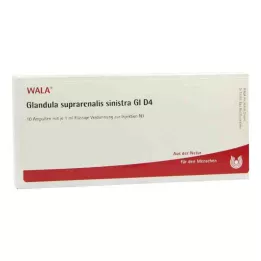 GLANDULA SUPRARENALIS sinistra GL D 4 fiale, 10X1 ml