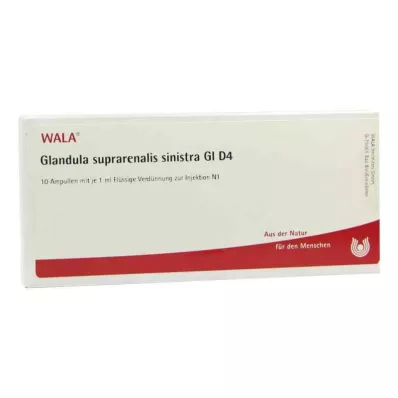GLANDULA SUPRARENALIS sinistra GL D 4 fiale, 10X1 ml