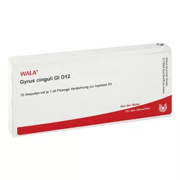 GYRUS cingoli GL D 12 fiale, 10X1 ml