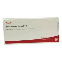 HYPERICUM EX Herba D 12 fiale, 10X1 ml