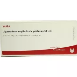 LIGAMENTUM LONGITUDINALE posterius GL D 30 Amp., 10X1 ml