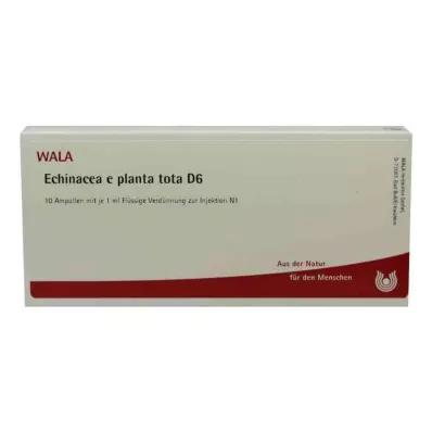 ECHINACEA E planta tota D 6 Fiale, 10X1 ml
