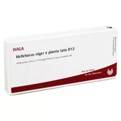 HELLEBORUS NIGER e pianta tota D 12 fiale, 10X1 ml