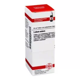 LEDUM EXTERN Tintura, 20 ml