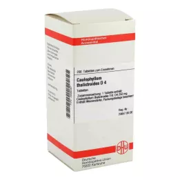 CAULOPHYLLUM THALICTROIDES D 4 compresse, 200 pz