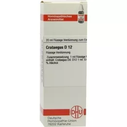 CRATAEGUS D 12 Diluizione, 20 ml