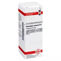 EQUISETUM ARVENSE D 6 Diluizione, 20 ml