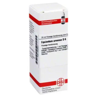 EQUISETUM ARVENSE D 6 Diluizione, 20 ml