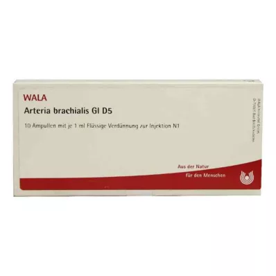 ARTERIA BRACHIALIS GL D 5 fiale, 10X1 ml ARTERIA BRACHIALIS GL D 5 fiale, 10X1 ml
