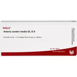 ARTERIA CEREBRI media GL D 6 fiale, 10X1 ml