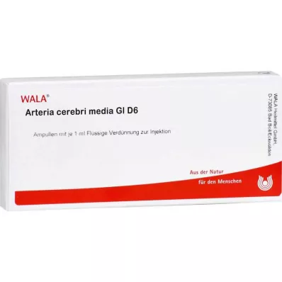 ARTERIA CEREBRI media GL D 6 fiale, 10X1 ml ARTERIA CEREBRI media GL D 6 fiale, 10X1 ml