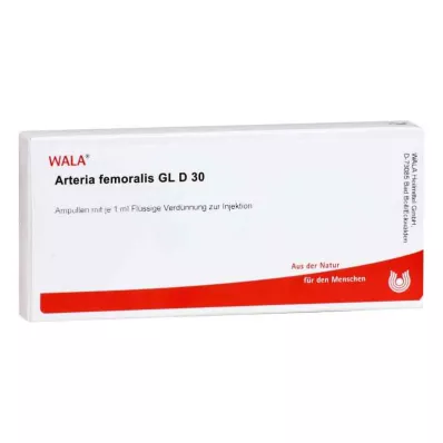 ARTERIA FEMORALIS GL D 30 fiale, 10X1 ml