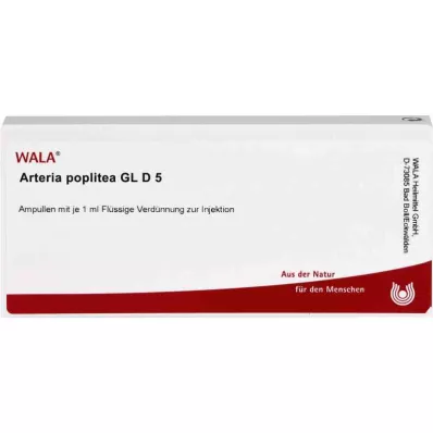 ARTERIA POPLITEA GL D 5 fiale, 10X1 ml