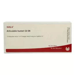 ARTICULATIO humeri GL D 6 fiale, 10X1 ml